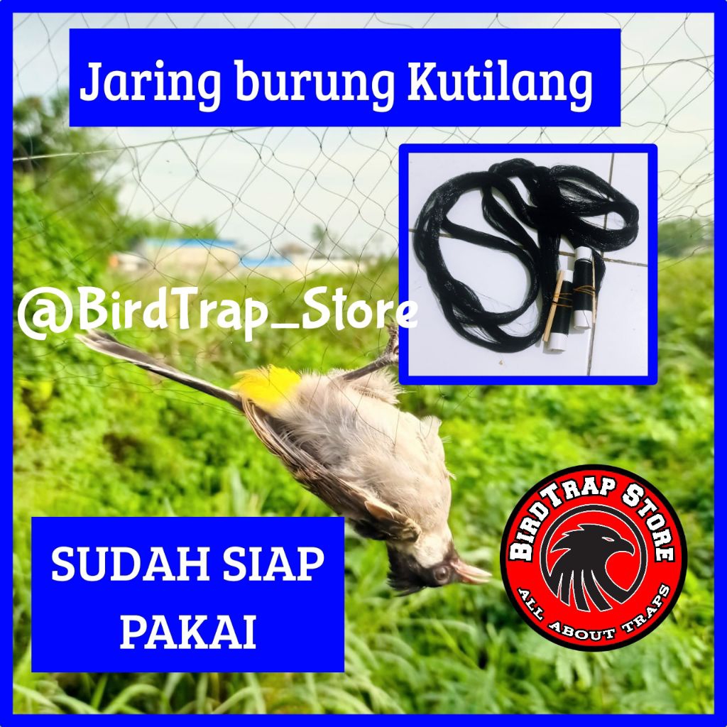 Jaring burung kutilang siap pakai panjang 5 meter, jebakan burung kutilang, perangkap burung kutilan