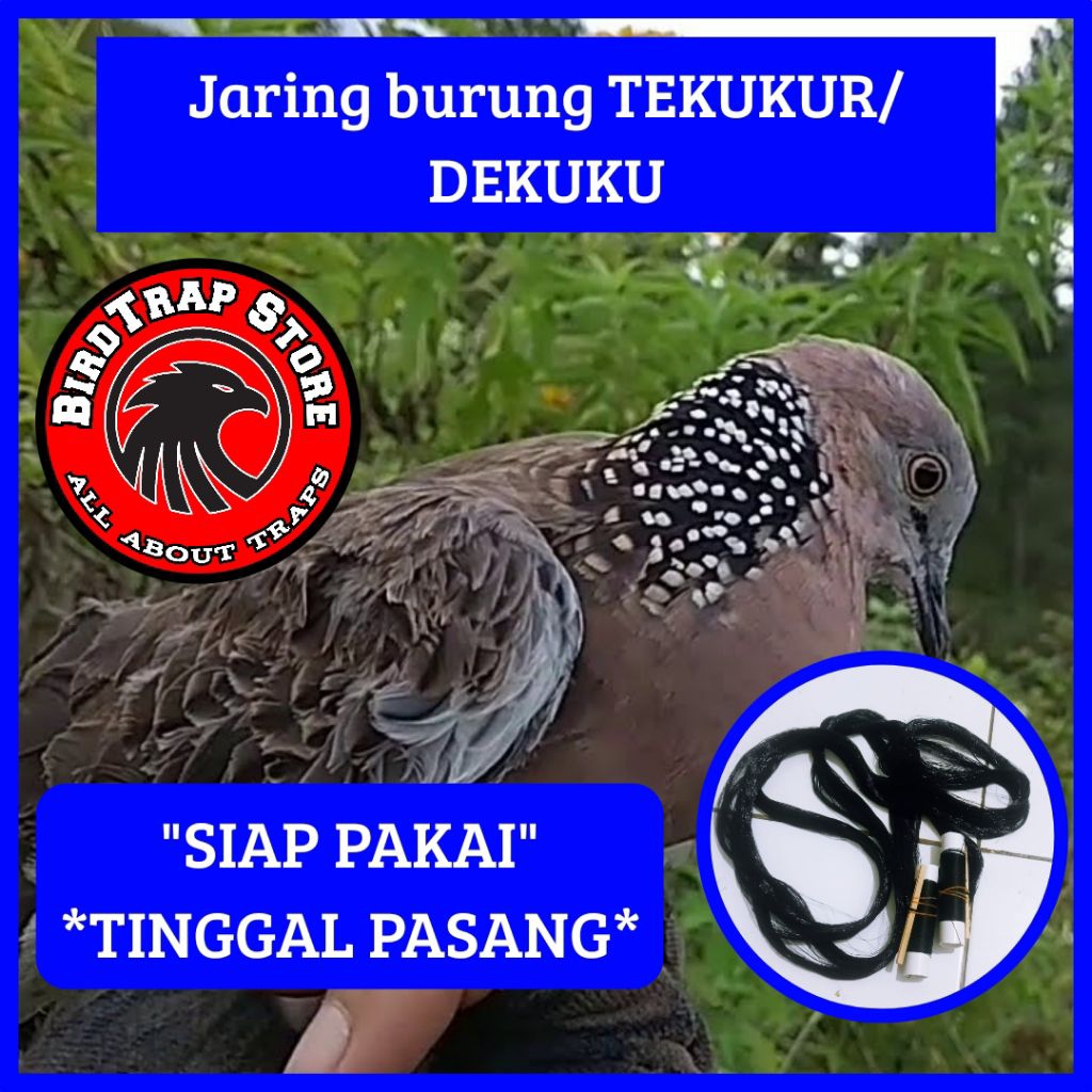 Jaring burung tekukur siap pakai panjang 5 meter, jebakan burung tekukur, perangkap burung tekukur, 