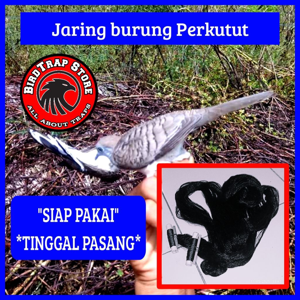 Jaring burung perkutut 20 meter, jaring burung perkutut siap pakai tinggal pasang panjang 20m, jebak
