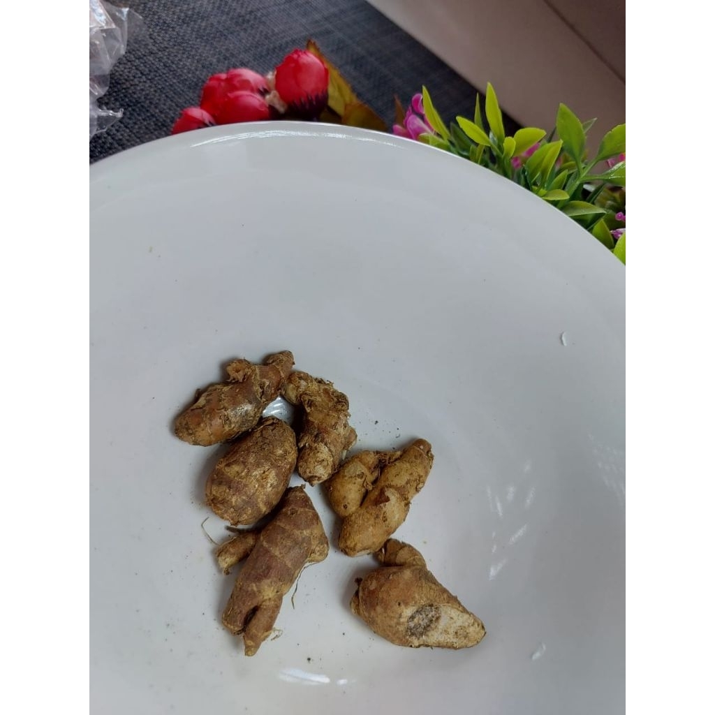 

Kencur Rempah 250gr Bumbu Masak