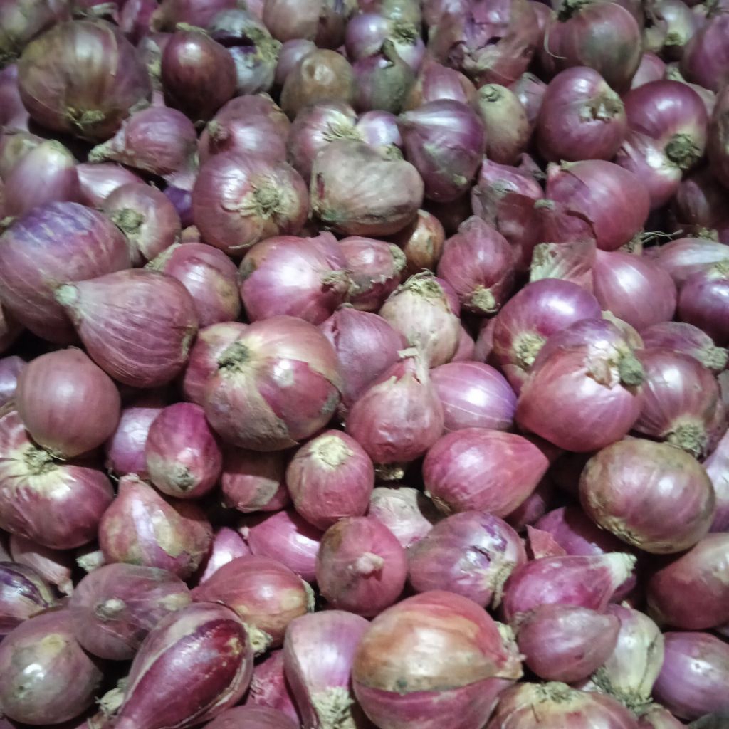 

Bawang Merah Super 1kg