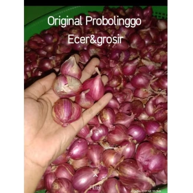 

bawang merah Probolinggo tanggung rata