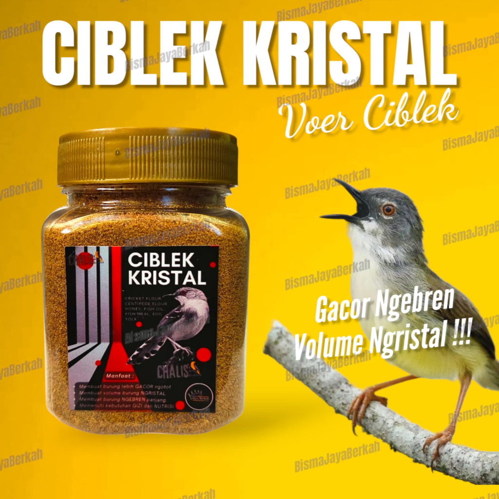 VOER CIBLEK KRISTAL GACOR NGEBREN 150 GRAMVOER HALUS CIBLEK KRISTAL