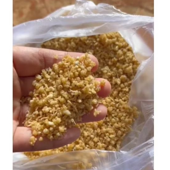 

KARAK TIWUL KUNING ANTI PAIT DAN BAU