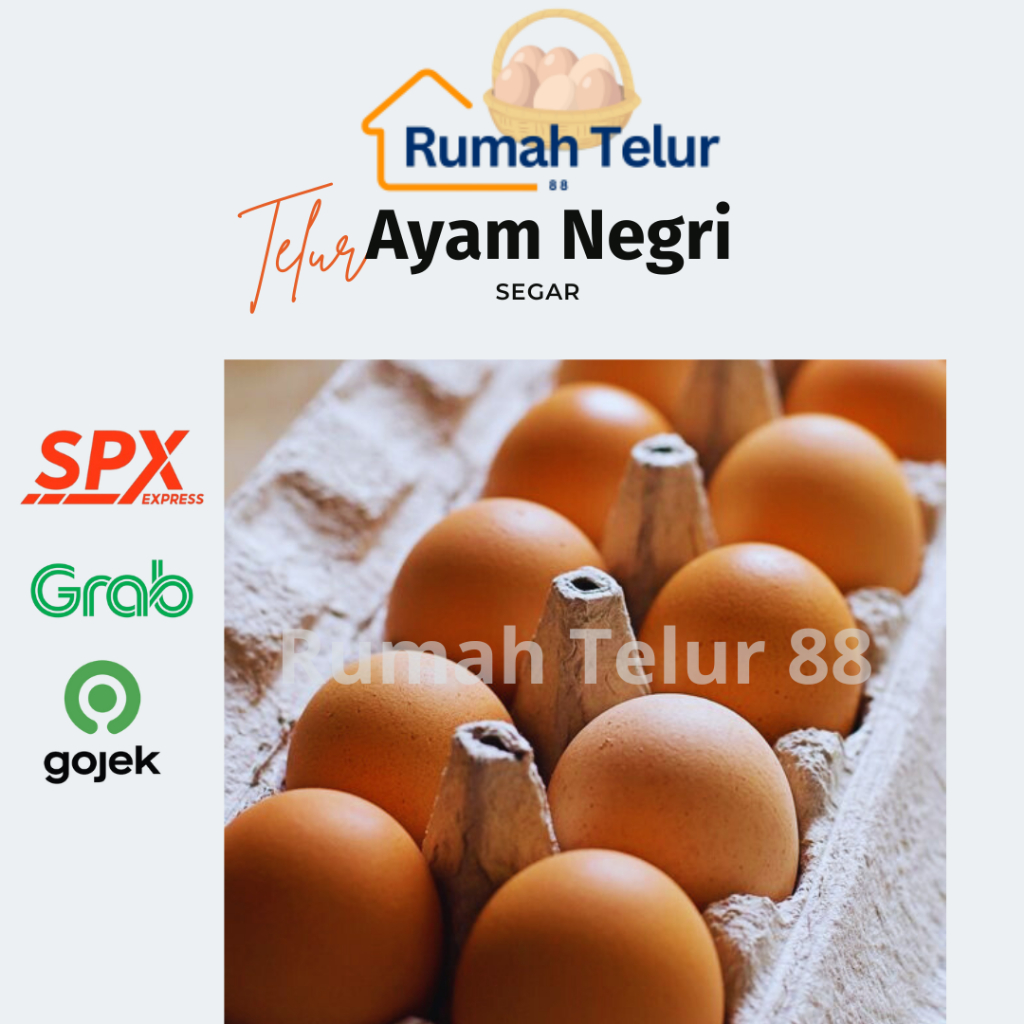 

Telur Ayam Negri Fresh / Telur Ayam Negri Segar