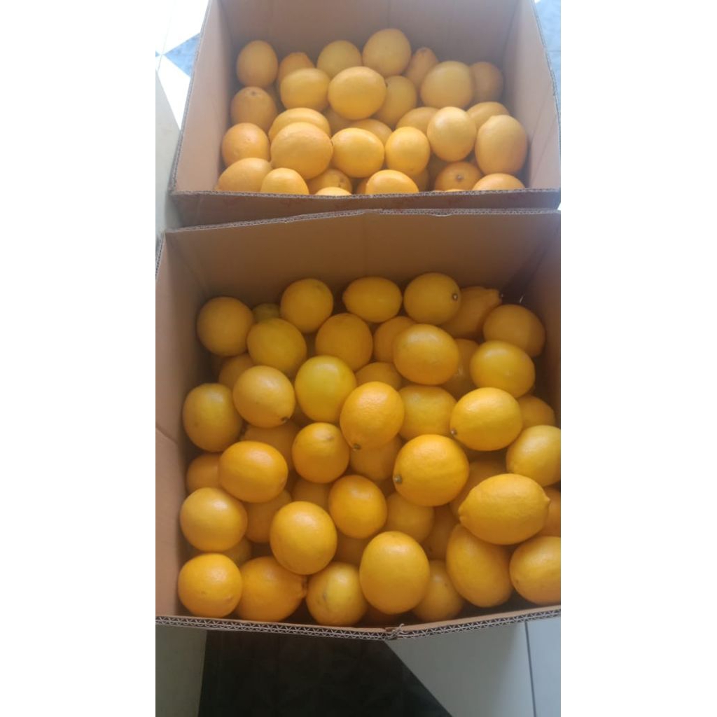 

LEMON LOKAL CALIFORNIA 1kg