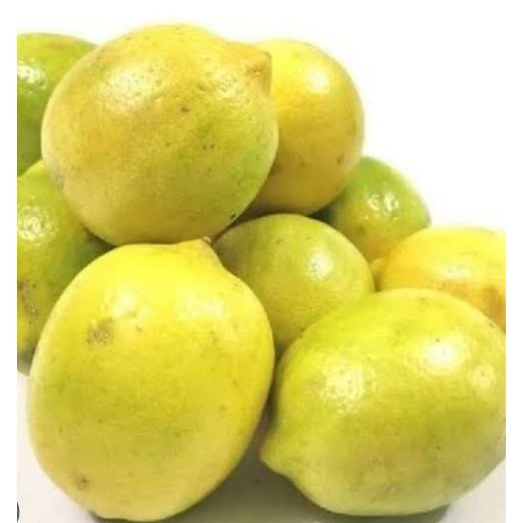 

buah jeruk lemon 1kg | lemon california segar