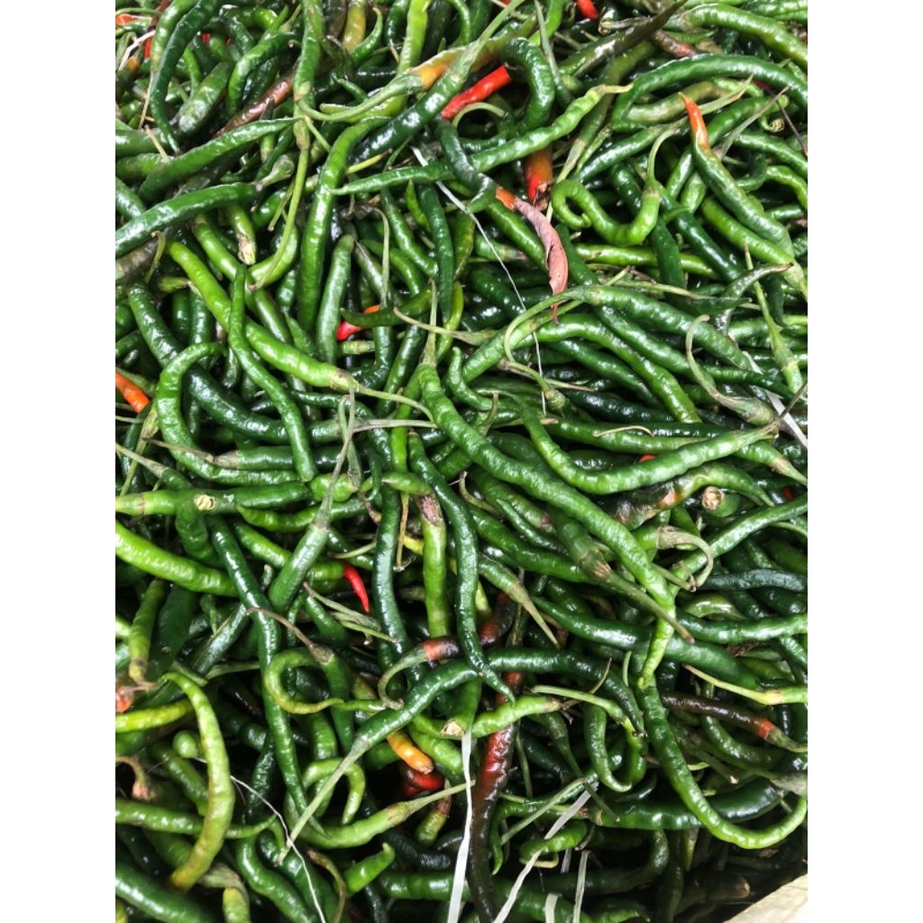 

Cabe hijau segar