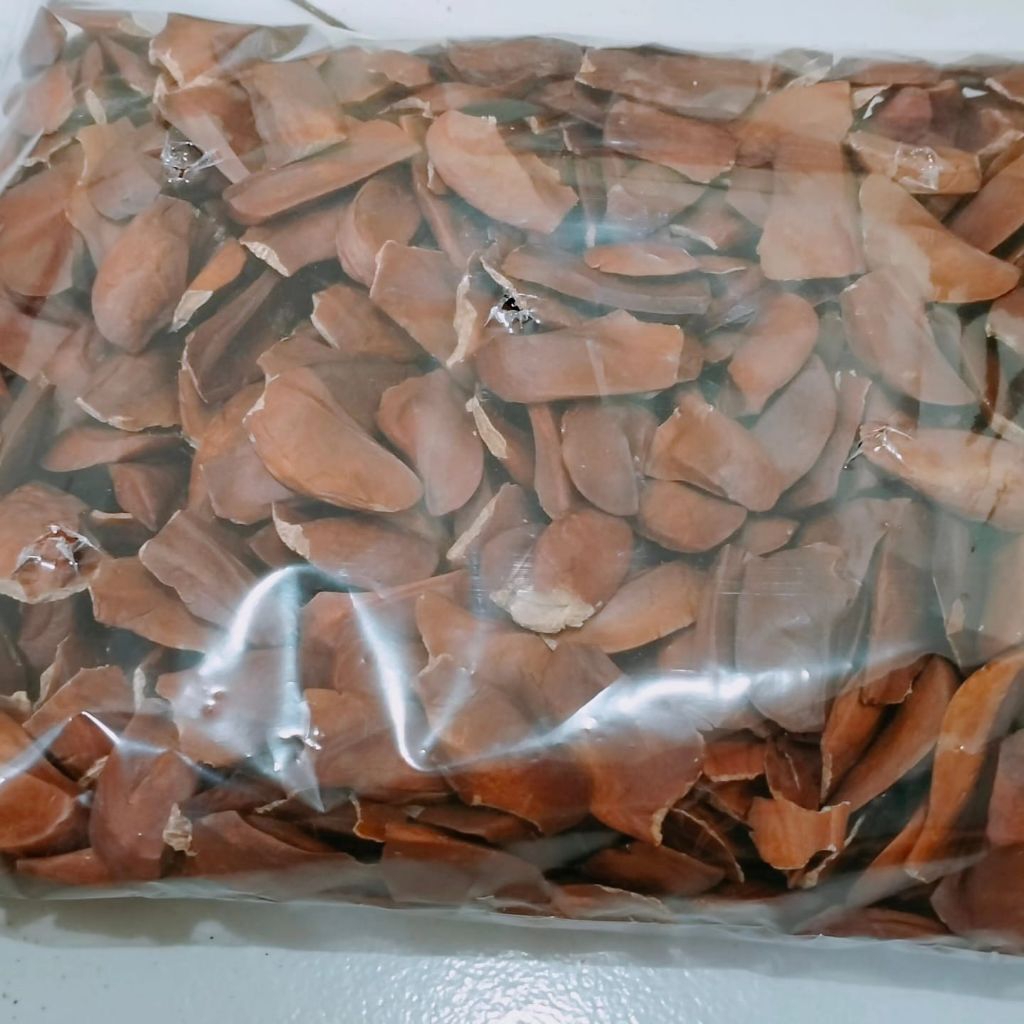

Biji mahoni asli 250 gram fress