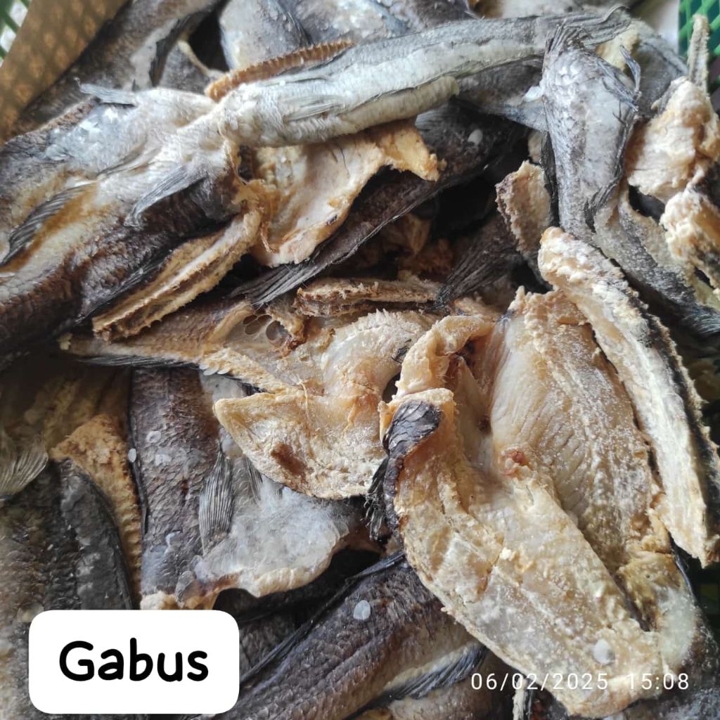

Ikan Gabus Asin Kering 100gr dan 250gr – Gurih, Premium, Siap Goreng | Tahan Lama & Bersih