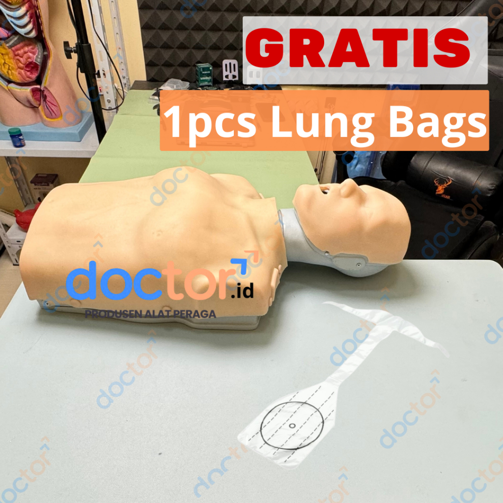 [doctor] BHD-RJP-CPR /Phantom Manikin/Manekin-Alat Peraga Pendidikan Praktik Simulator