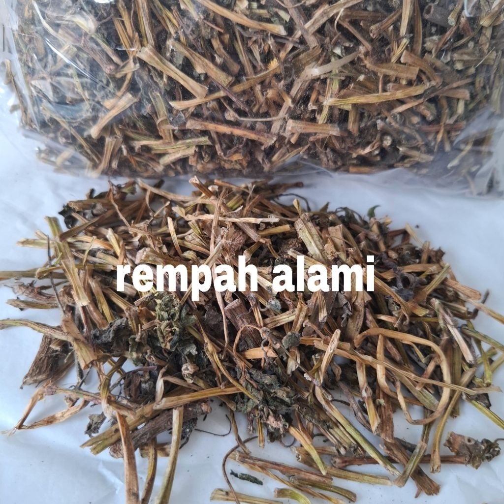 

Binahong Kering 100/200gr