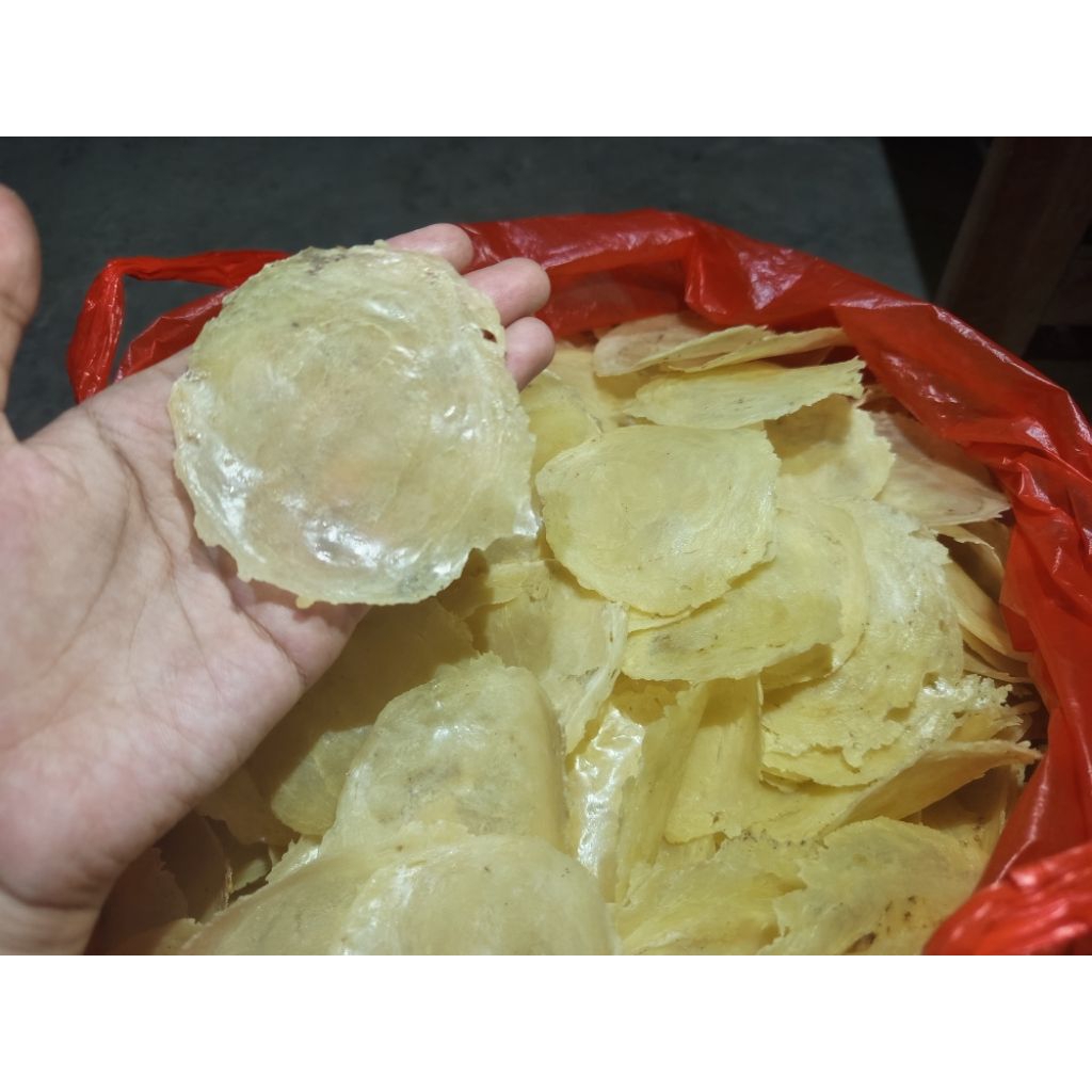

Emping Melinjo Besar 500gr Mentah Kering Super Premium Asli Kebumen