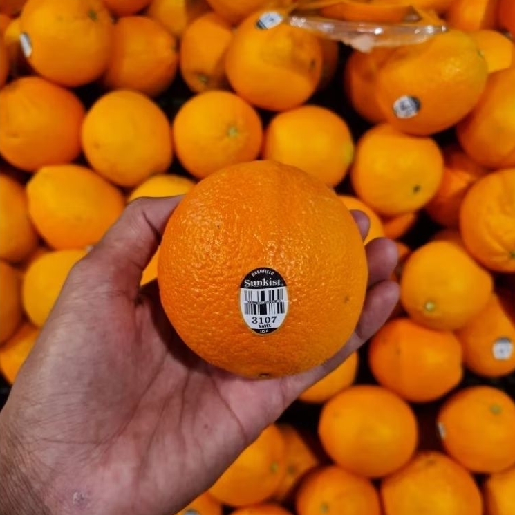 

JERUK SUNKIST NAVEL 1kg