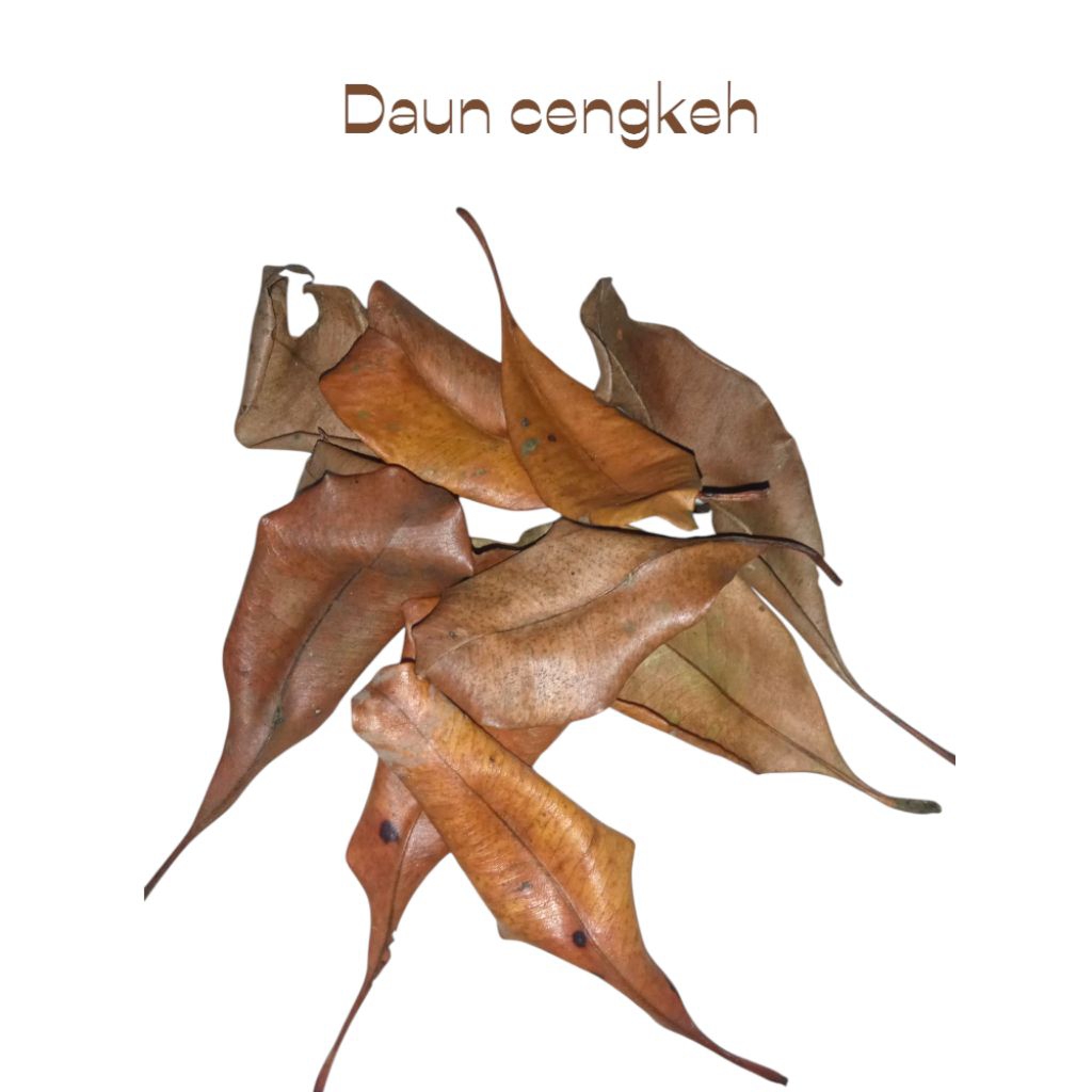 

Daun cengkeh kering paket 10 gram