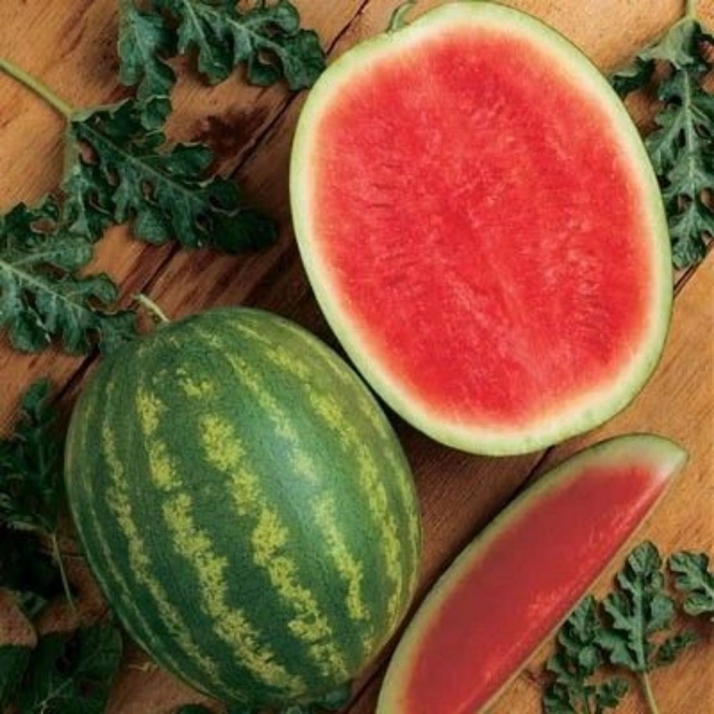 

BUAH SEMANGKA MERAH NON BIJI 1 BUAH