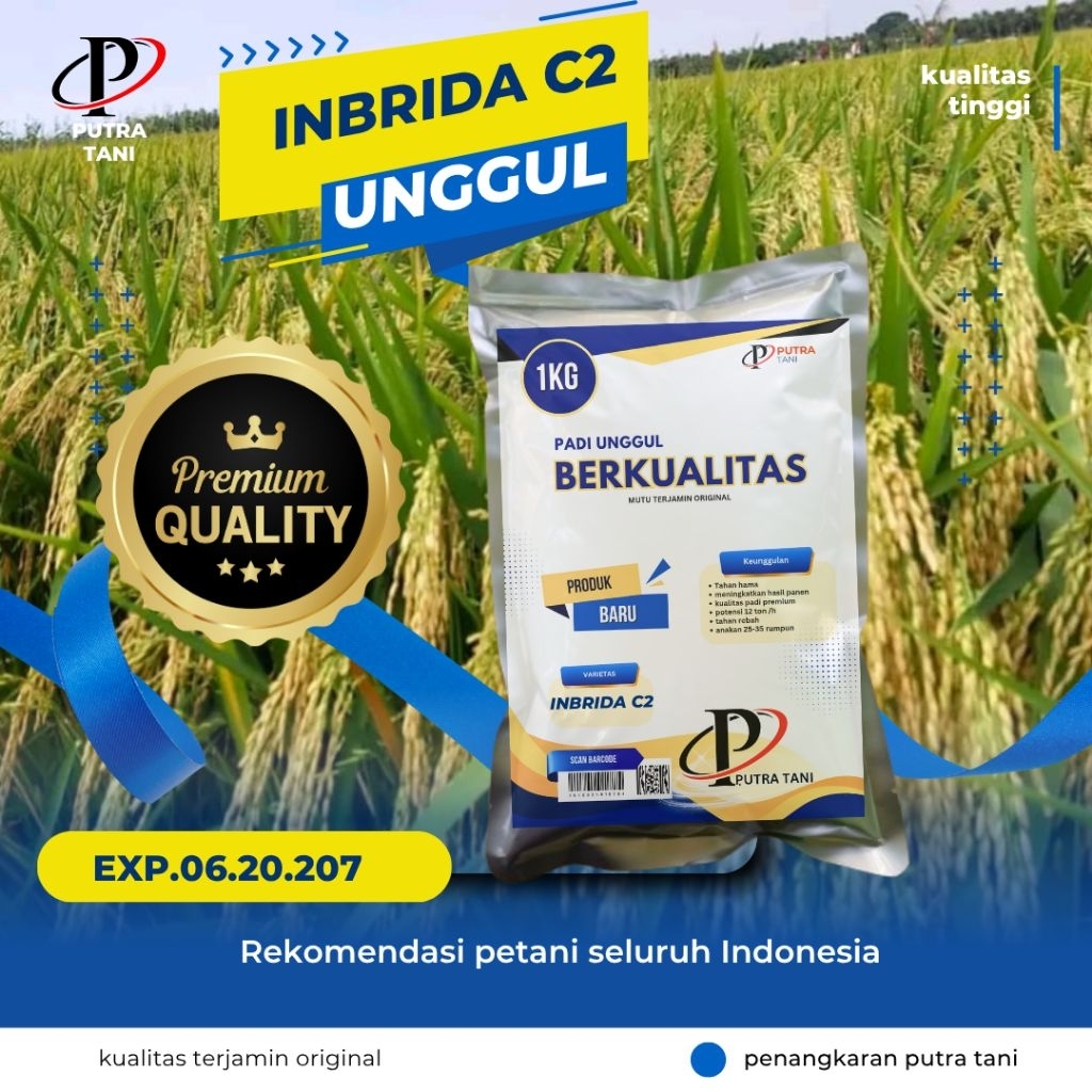 BENIH PADI INBRIDA C2 ORIGINAL 1KG PREMIUM