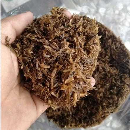 Media Tanam Sekam Fermentasi Sekam Lapuk 1Kg