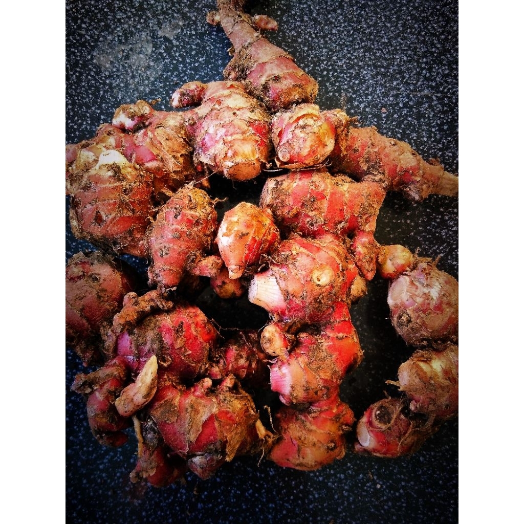 

JAHE MERAH 1 Kg, Jahe Merah Harga Promo