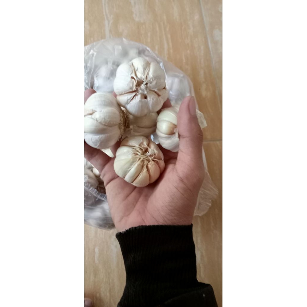 

bawang putihh 250g