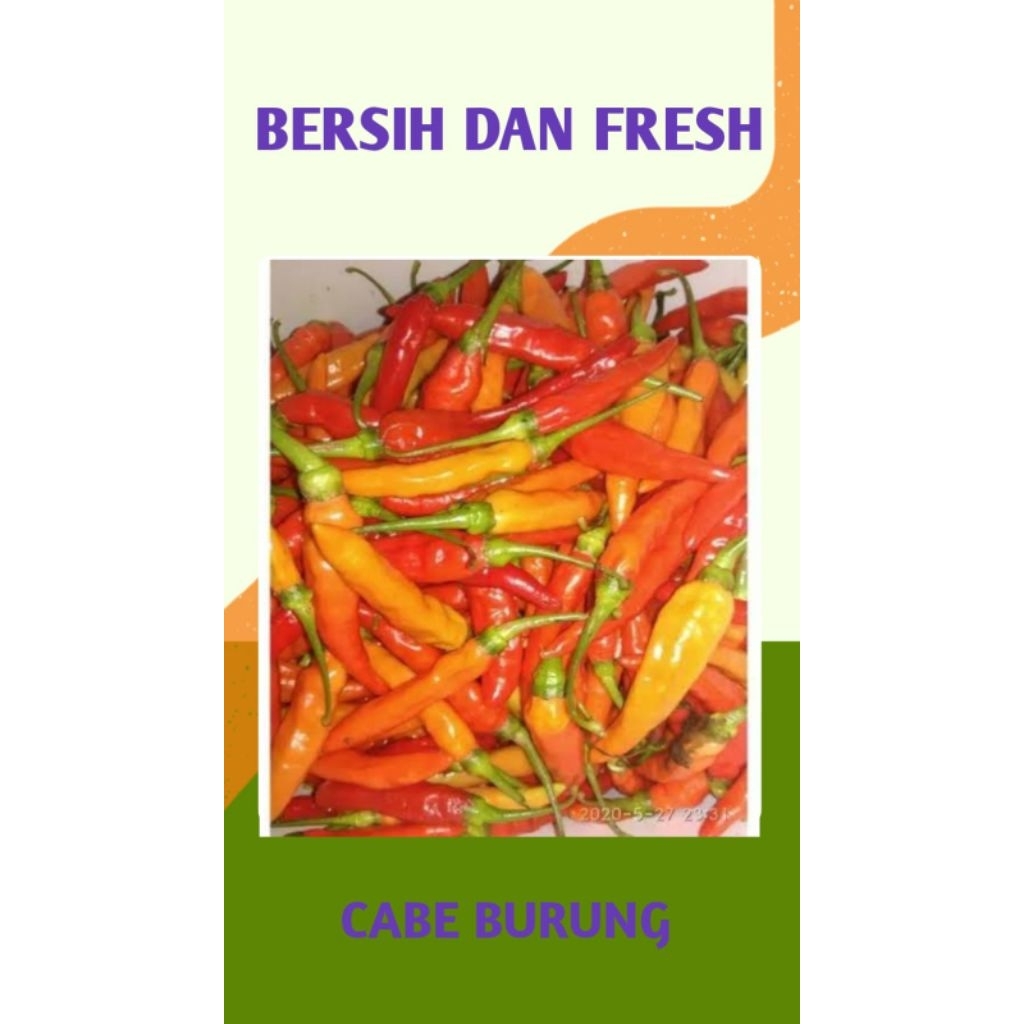 

CABE BURUNG BERSIH DAN SEGAR - PALEMBANG