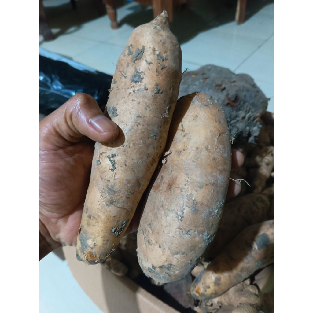 

ubi gembili ketan FRES segar 1000 gram