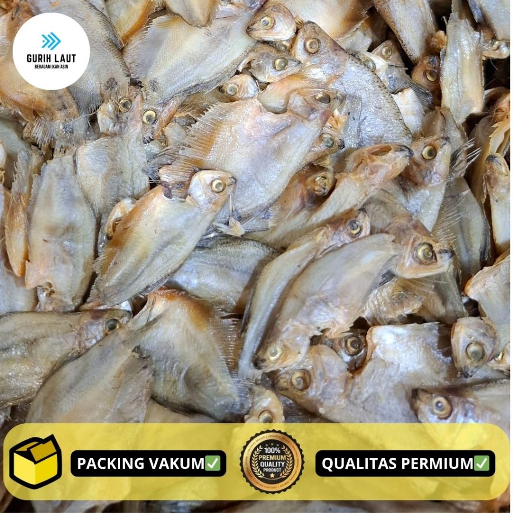 

IKAN SEPAT RAWA KECIL SUPER