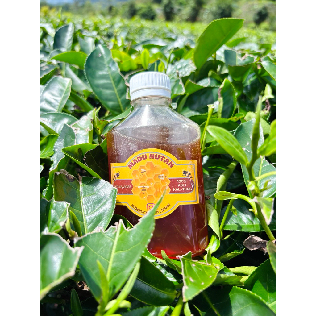 

Madu Asli Kalimantan Tengah - Raw Honey