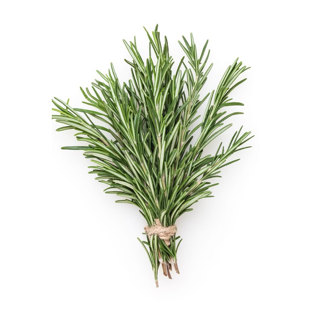 

ROSEMARY FRESH