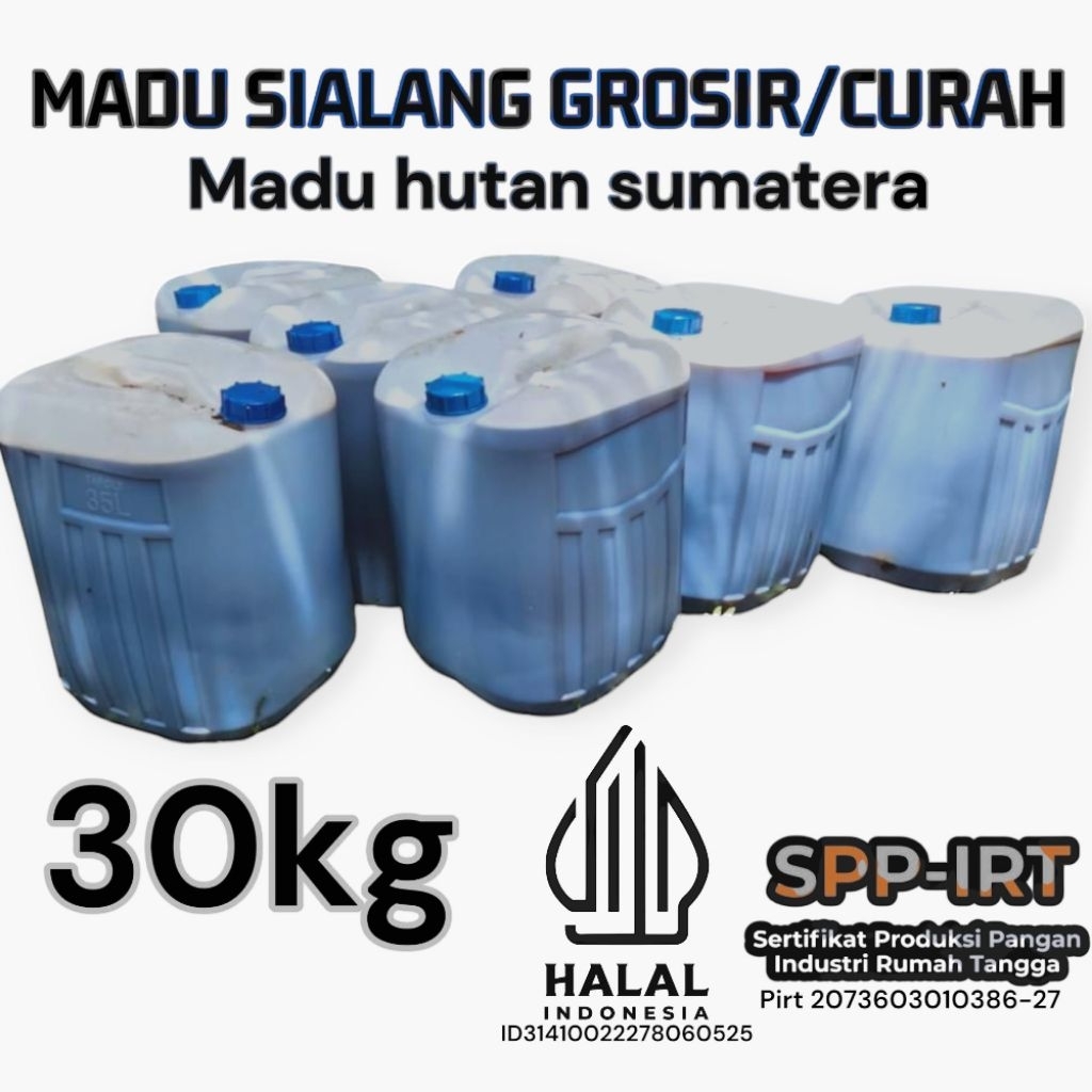 

madu hutan sialang sumatera 30kg ekonomis madu grosir raw honey