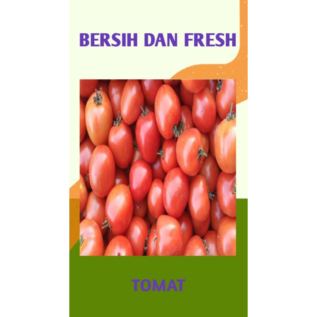 

TOMAT MERAH / HIJAU BERSIH DAN SEGAR
