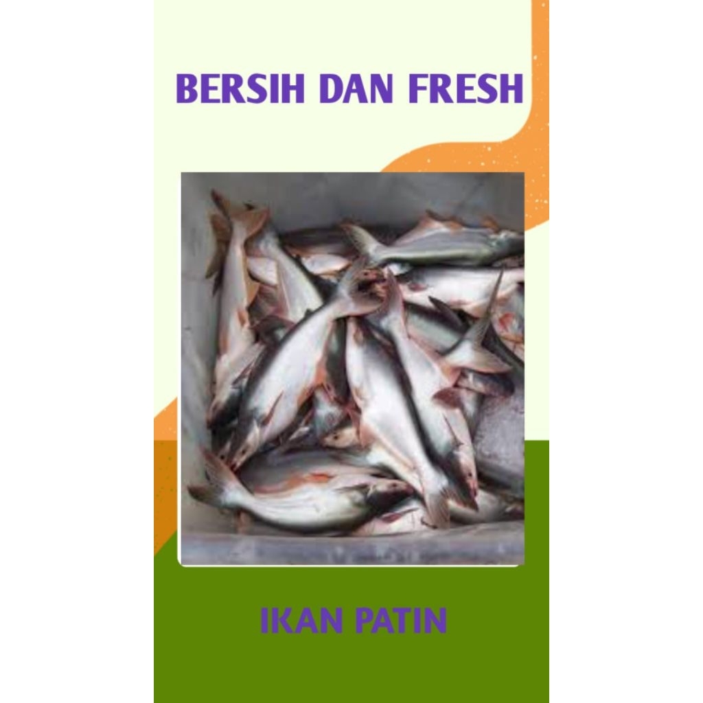 

IKAN PATIN BERSIH DAN SEGAR - PALEMBANG