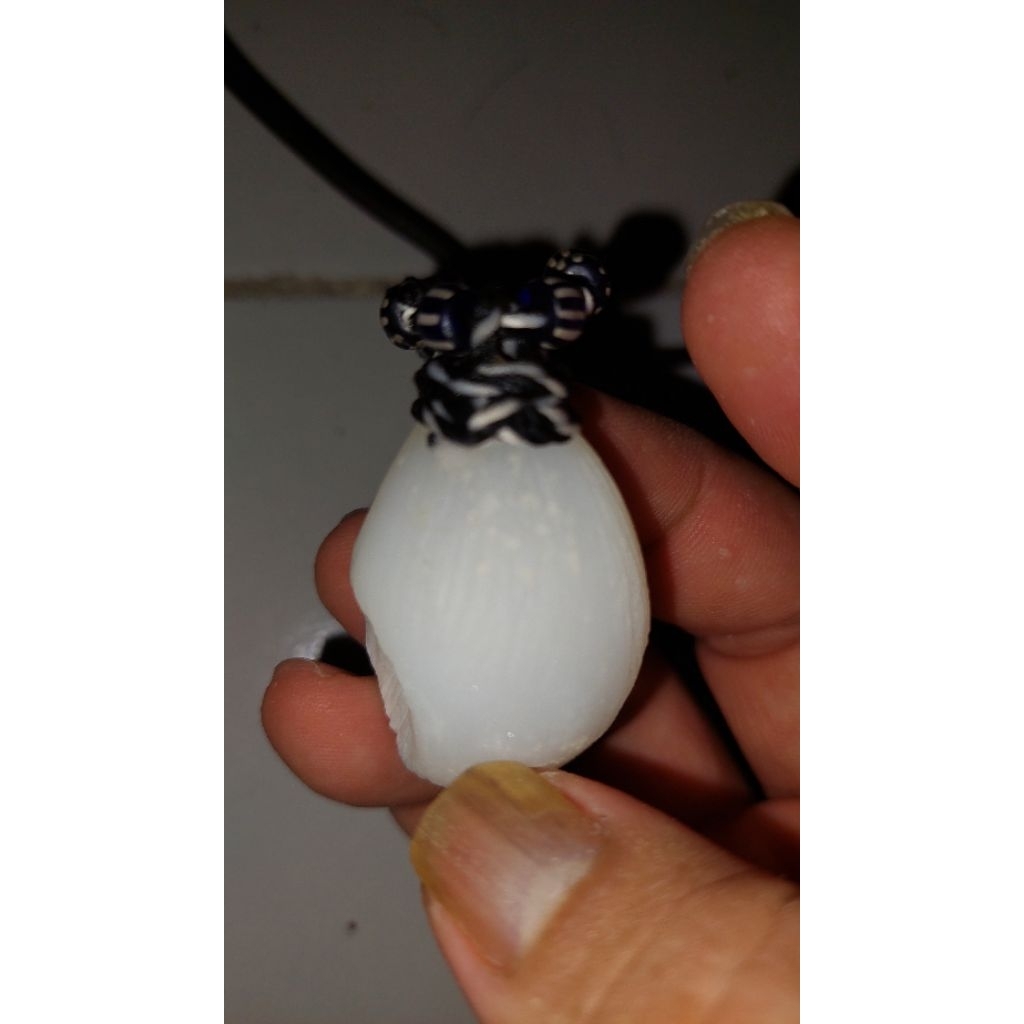 Batu Buntat Kelapa asli dua alam bagi yang paham