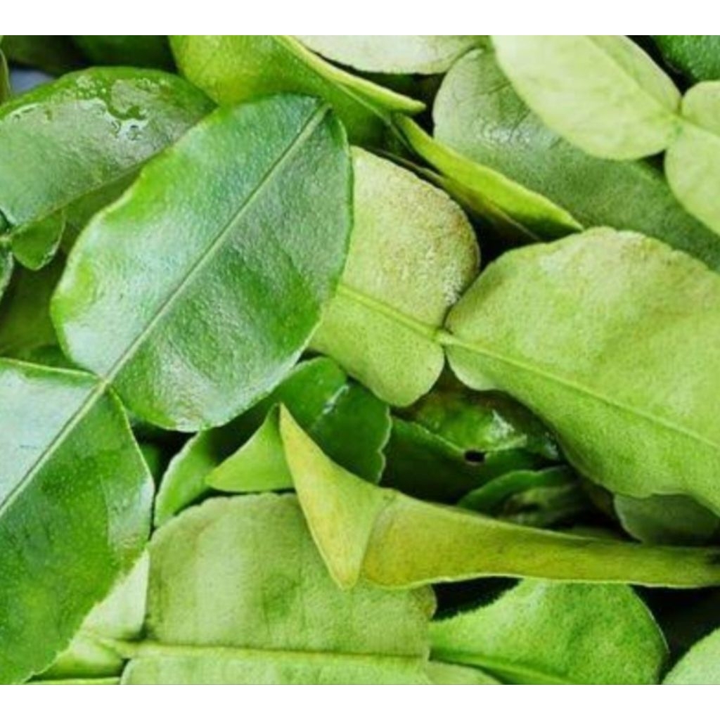 

daun jeruk pasar
