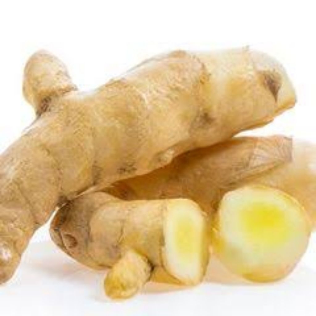 

kunyit putih segar 1 kg fresh/segar beresih/temu putih di ambil langsung dari kebun