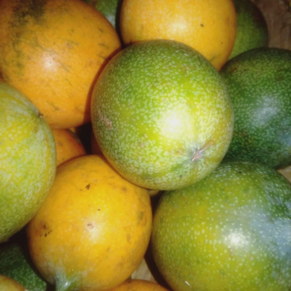 

jual 1 kg buah markisa madu /konyal madu super manis dan segar marasi