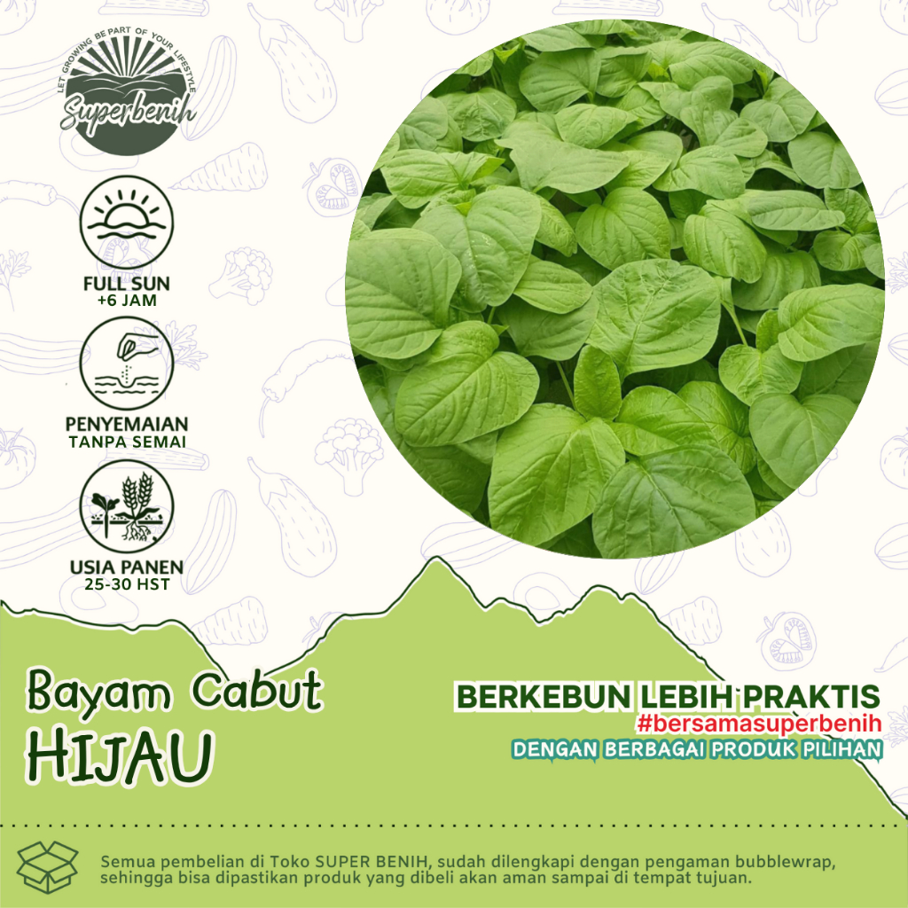 5000 Biji - Benih BAYAM CABUT HIJAU - Bibit Sayuran bayam hijau cabut