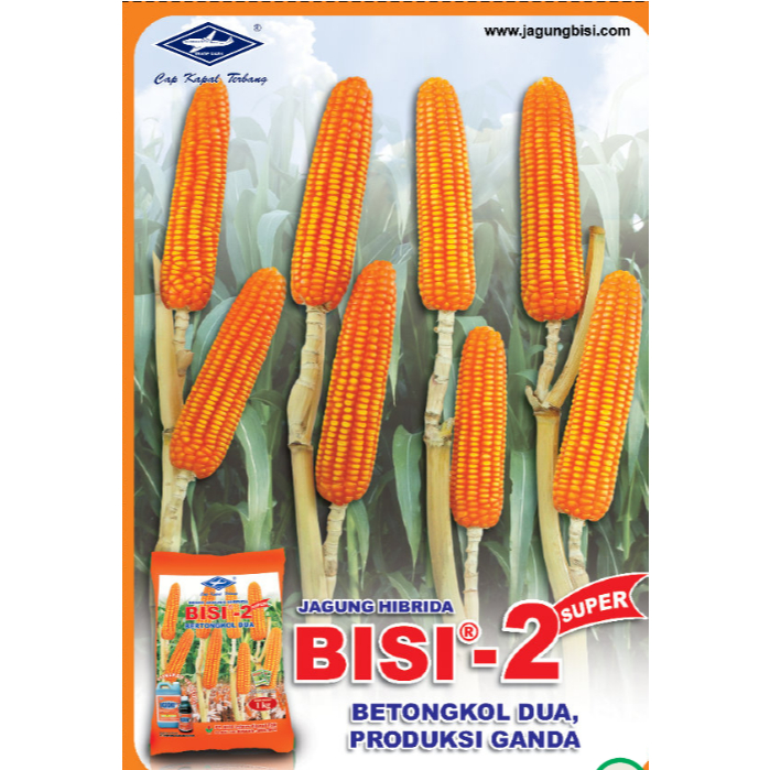 benih jagung BISI 2 1 kg biji jagung hibrida dari bisi kapal terbang bisi 2 bisi2