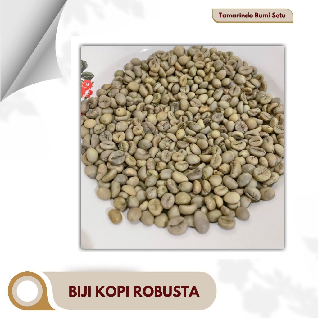 

Serenashop86 Green Bean Kopi Robusta 1Kg Biji Kopi Mentah Asli Cocok Untuk Roaster & Umkm Murah