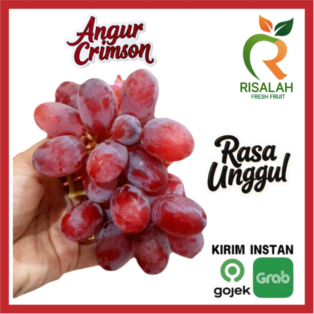 

Anggur Crimson Premium Kaya Antioksidan Manis Segar