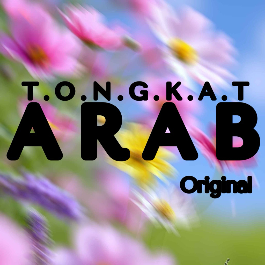 

ara araaa