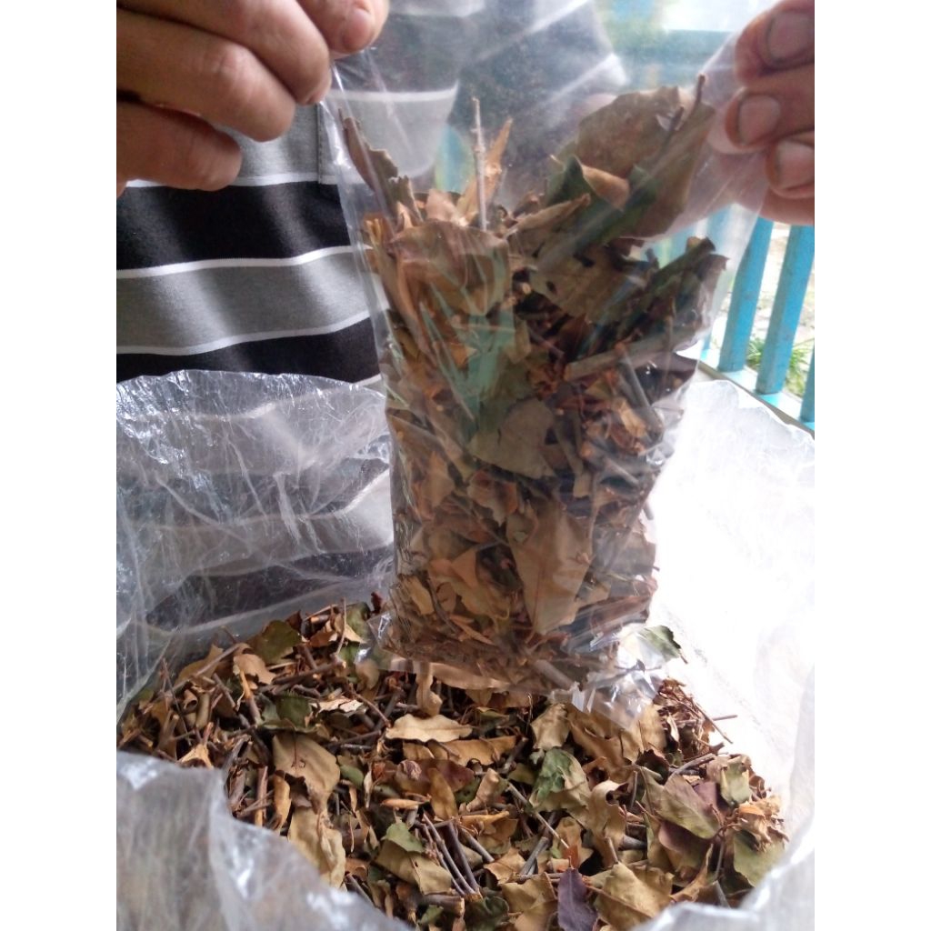 

daun benalu kering alami 1kantong