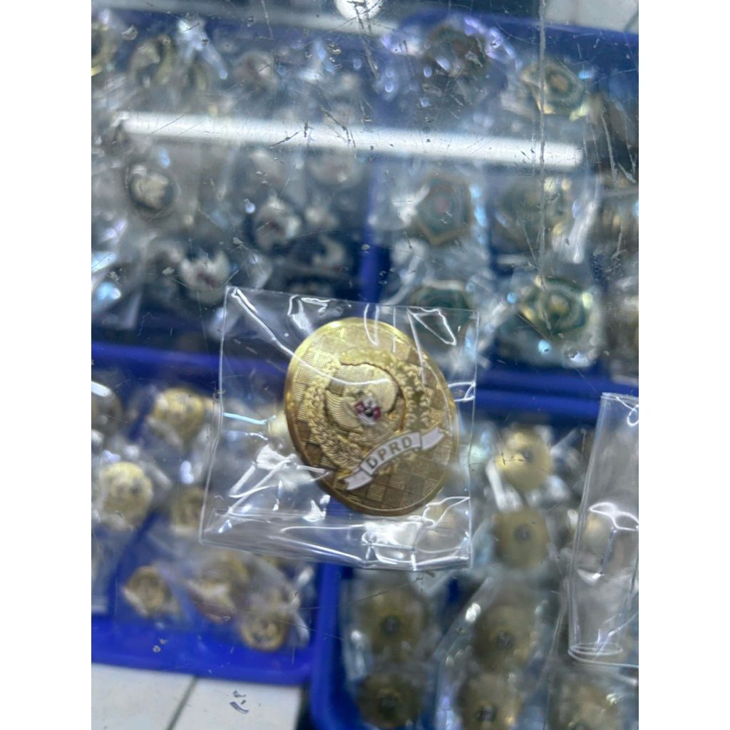 PIN DPRD /DPRD/KEMENTRIAN