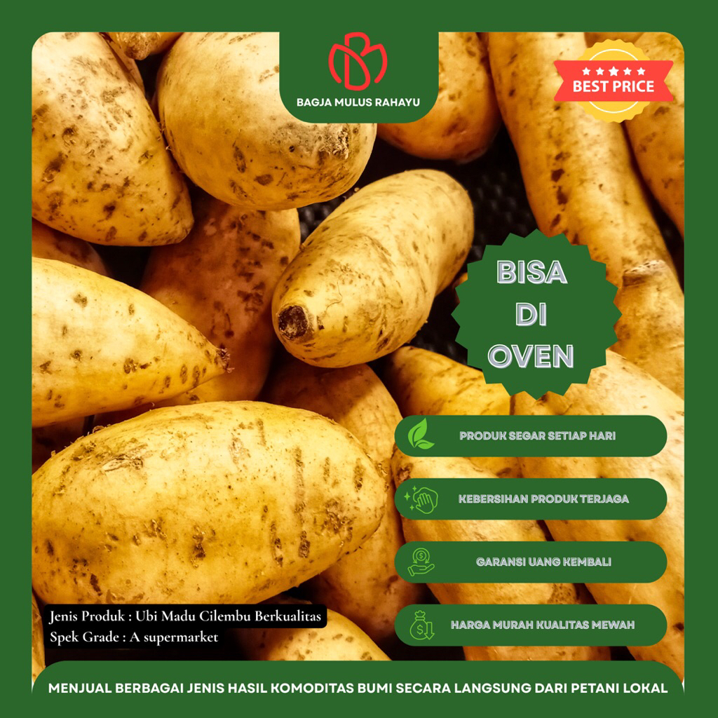 

Ubi Madu Cilembu Asli - [ Grade A Supermarket ] - Ubi Madu Cilembu Spek Oven