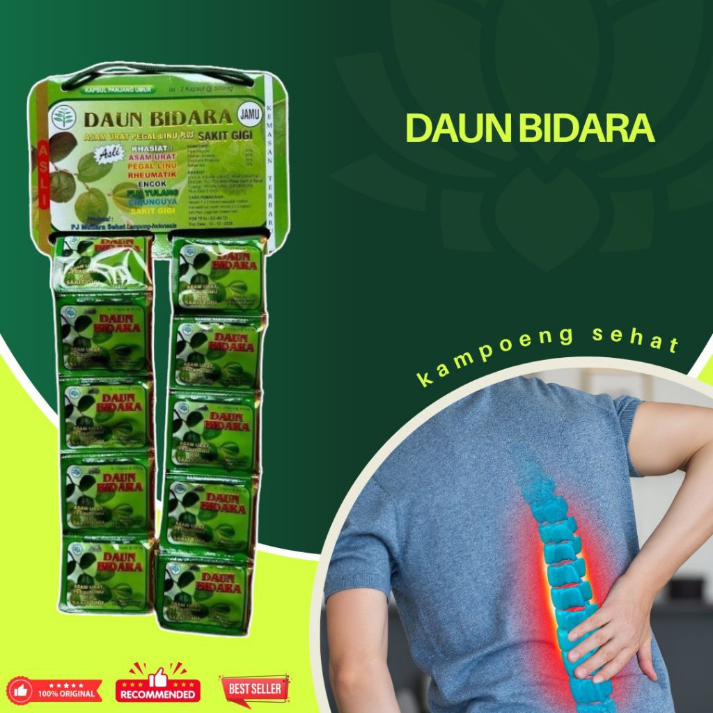

Kapsul Asam Urat Daun Bidara Original Asli