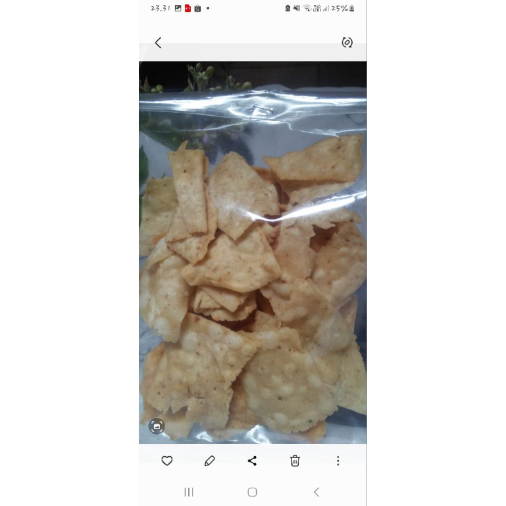 

kripik aceh_daun bawang &seledri 250gr 500gr-1kg