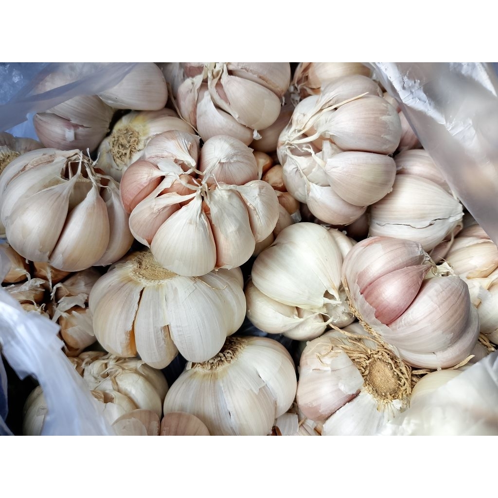 

Bawang _Bawang putih 1 kg an
