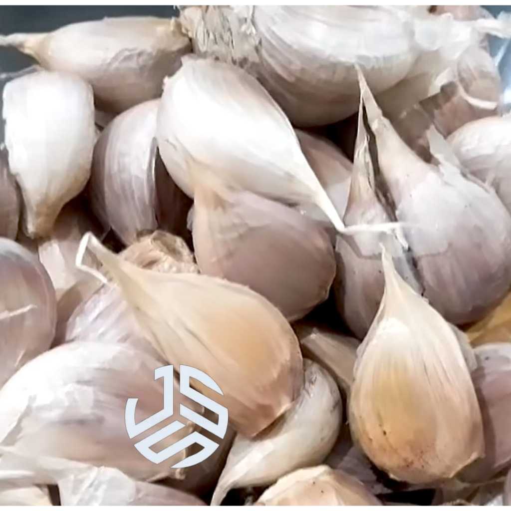 

Bawang Putih Kating Bersih Fresh Garlic Cating