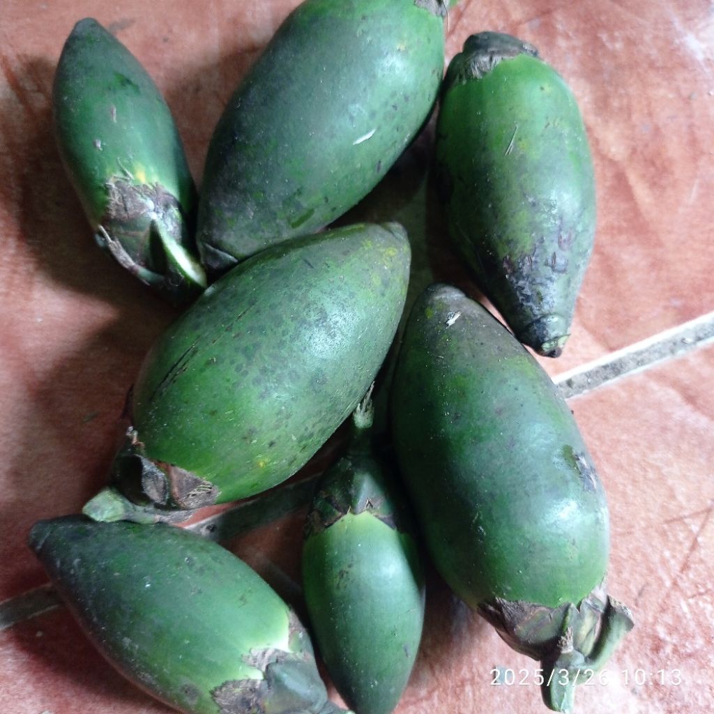 

Buah pinang muda segar per 1 kilo