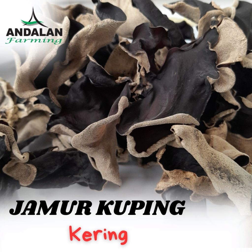 

Jamur Kuping Kering(Grade A)
